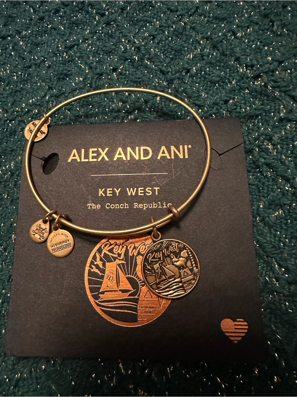 Alex and Ani Gold and Black Key West Charm Bangle Packaging